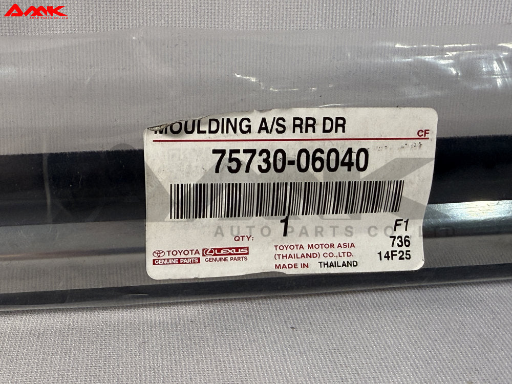 TOYOTA MOULDING ASSY REAR DOOR 75730-06040